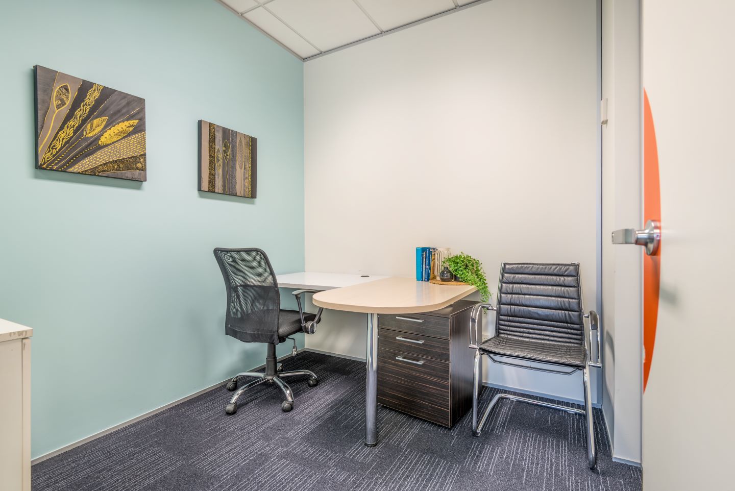 1 person office Auckland