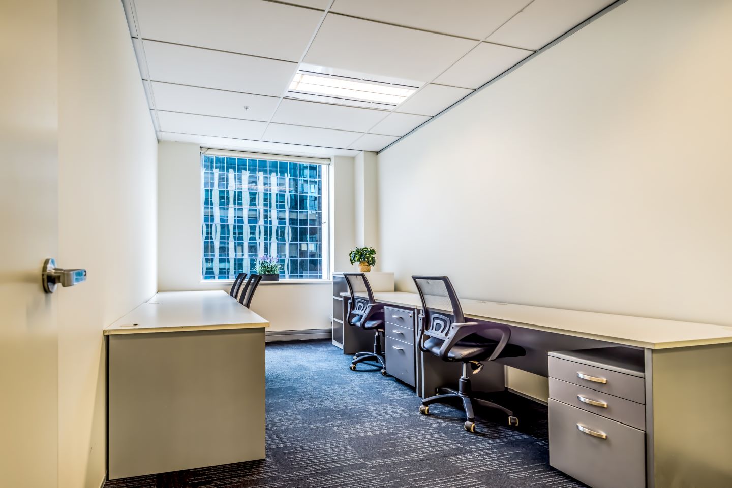 4 person office Auckland